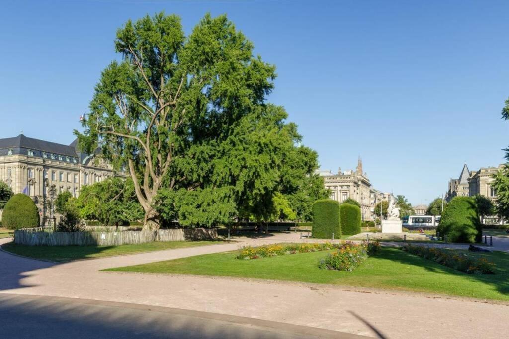 Magnifique Appartement Au Coeur De La Petite France ستراسبورغ المظهر الخارجي الصورة
